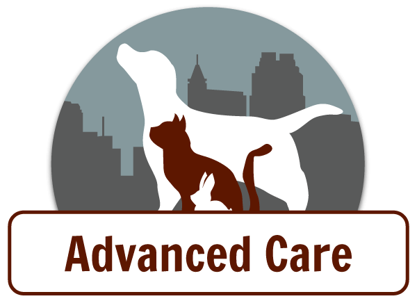 advanced veterinary care