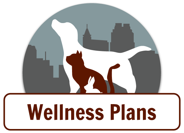 veterinary wellness plans