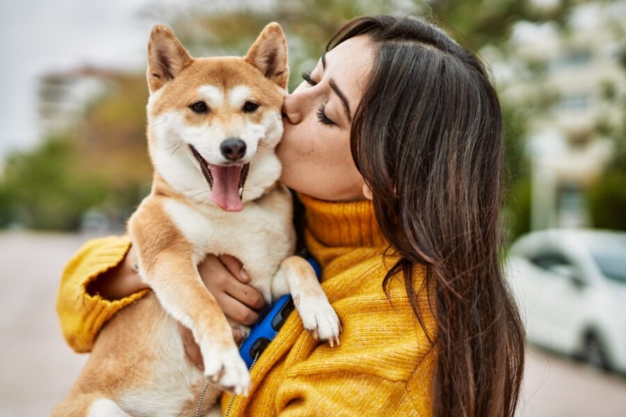 A woman in a yellow sweater kisses her smiling Shiba Inu while holding it in her arms. - Dog Healthcare