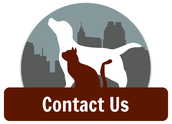 A "Contact Us" graphic features silhouettes of a dog and cat against a cityscape background, representing a veterinary or pet-related service - Veterinarian Raleigh NC